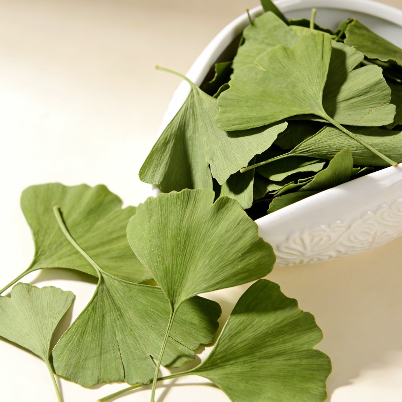 Home Fragrance Candles - Folhas Secas de Ginkgo Biloba de