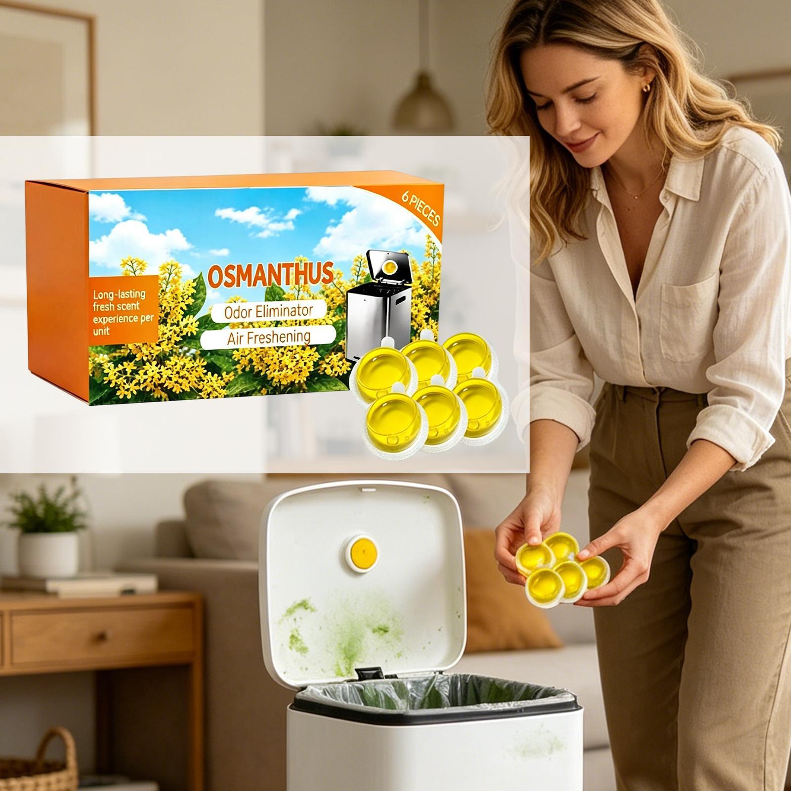 Home Fragrance Long Lasting - 6 unidades de gel aromatizante para