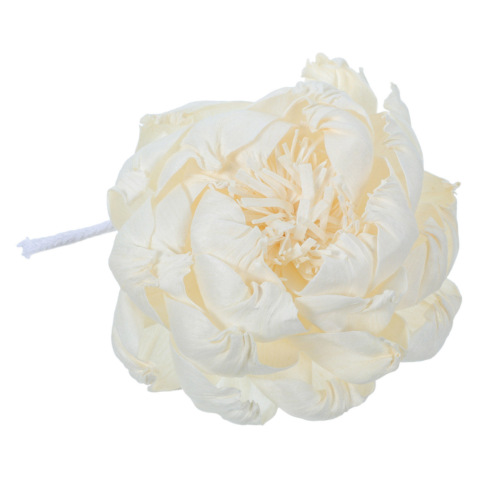 Difusor de Aroma Peony Head 12 - Home Fragrance Aroma avaliação e preço