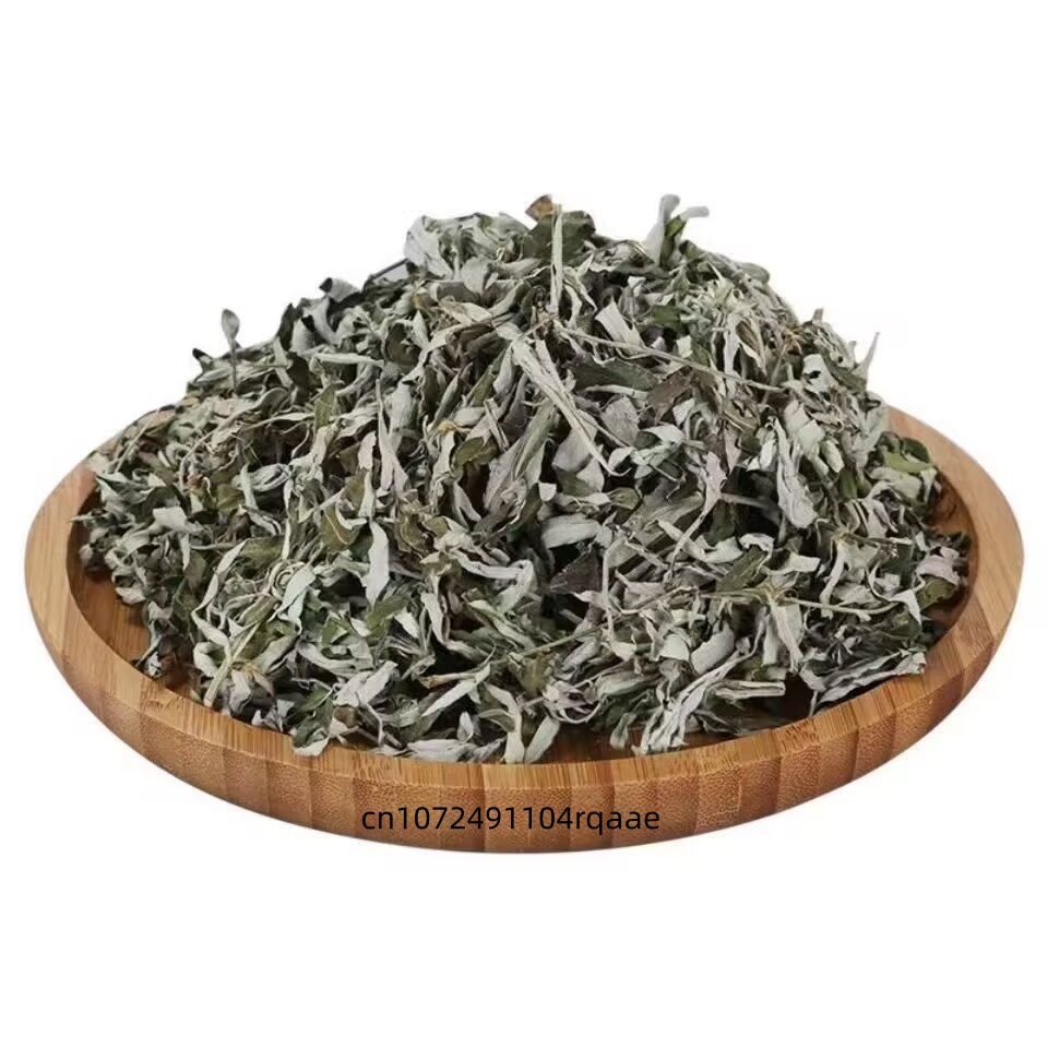 Folhas de Artemísia Argyi Orgâ - Home Fragrance Long Lasting avaliação e preço