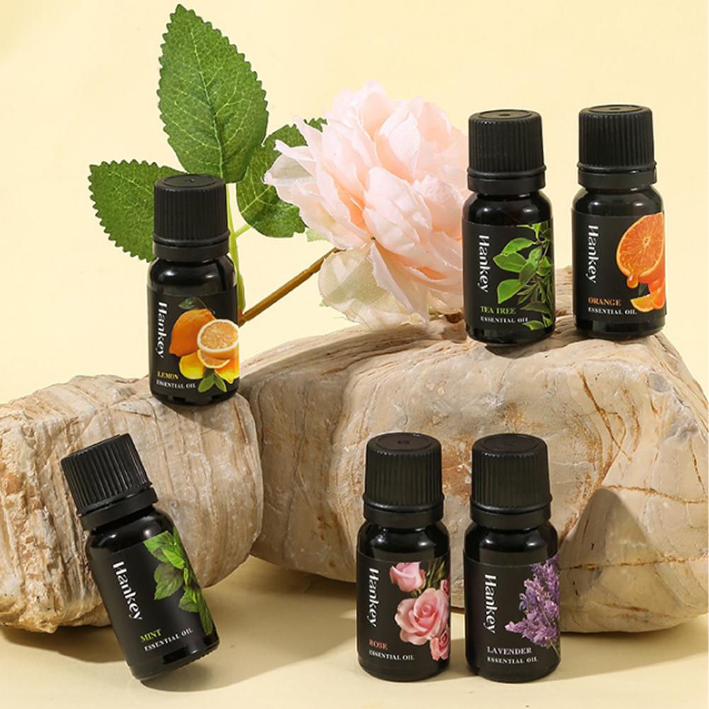 Conjunto de Óleos Essenciais N - Home Fragrance Aroma Set avaliação e preço
